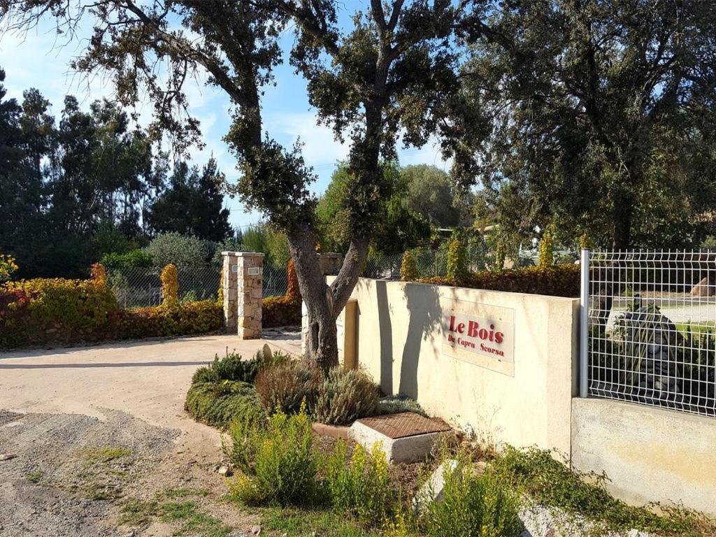 Belgodère Le Bois De Capra Scorsa 빌라 외부 사진