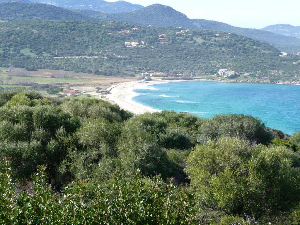 Belgodère Le Bois De Capra Scorsa 빌라 외부 사진