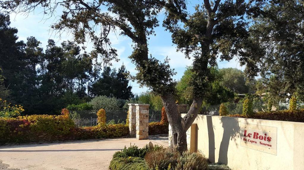 Belgodère Le Bois De Capra Scorsa 빌라 외부 사진